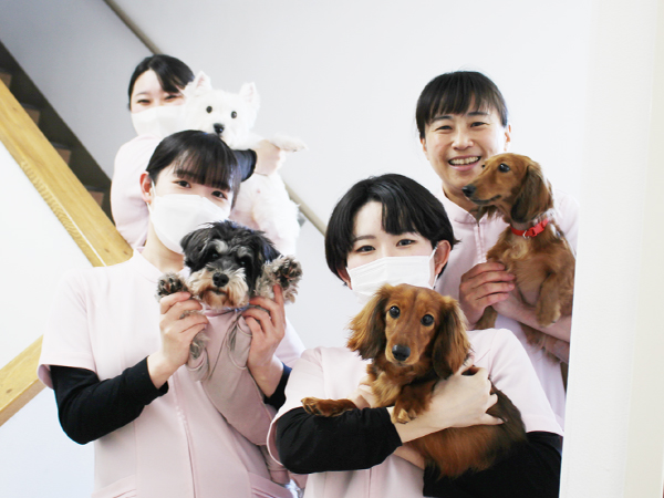 モデル犬のお世話＆お散歩♪